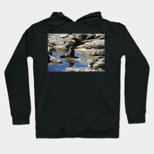 Phoque dans la péninsule de Kaikoura Hoodie